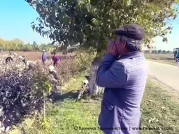 Учителей отправляют на сбор хлопка, несмотря на оплату наемных рабочих